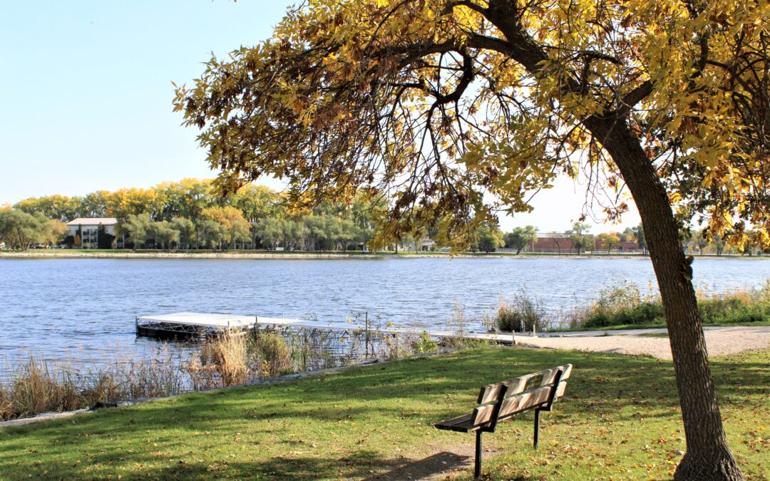 Occupied With Gladness