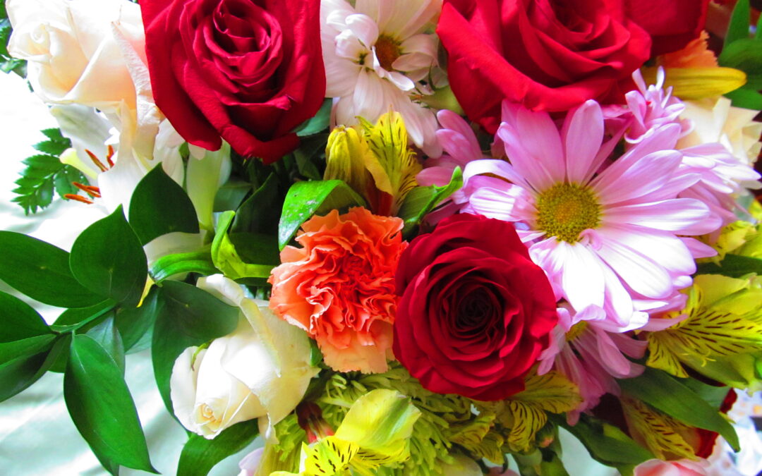 Speaking the Truth in Love