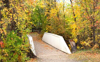 Bridging the Gap