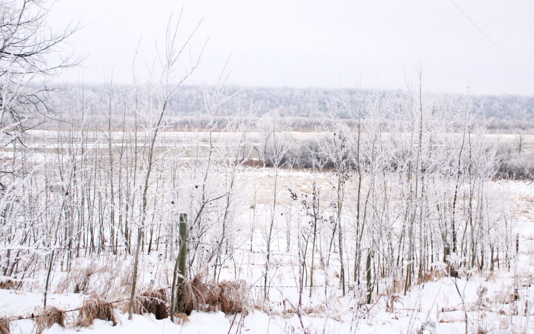 Signature of the Divine