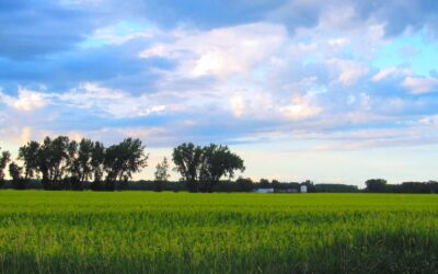 God’s Country