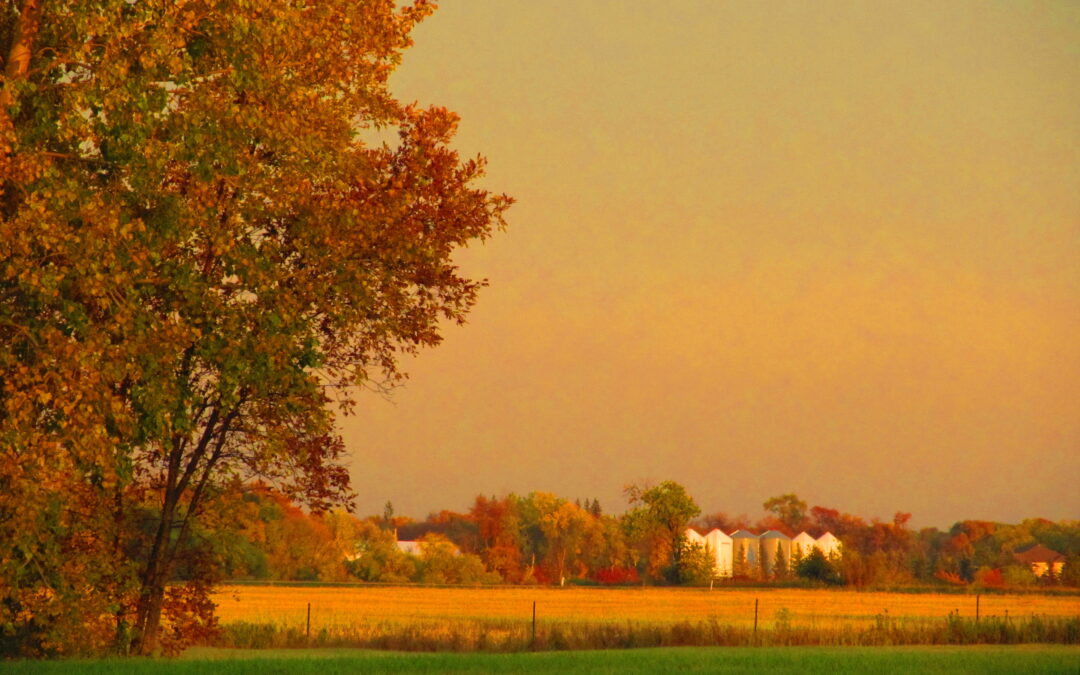 A Channel of Thanksgiving