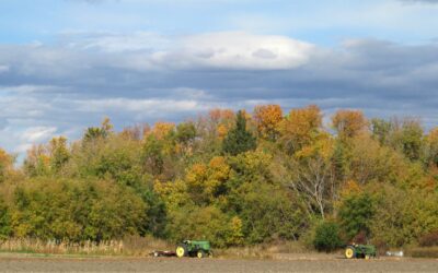 Occupied With Gladness