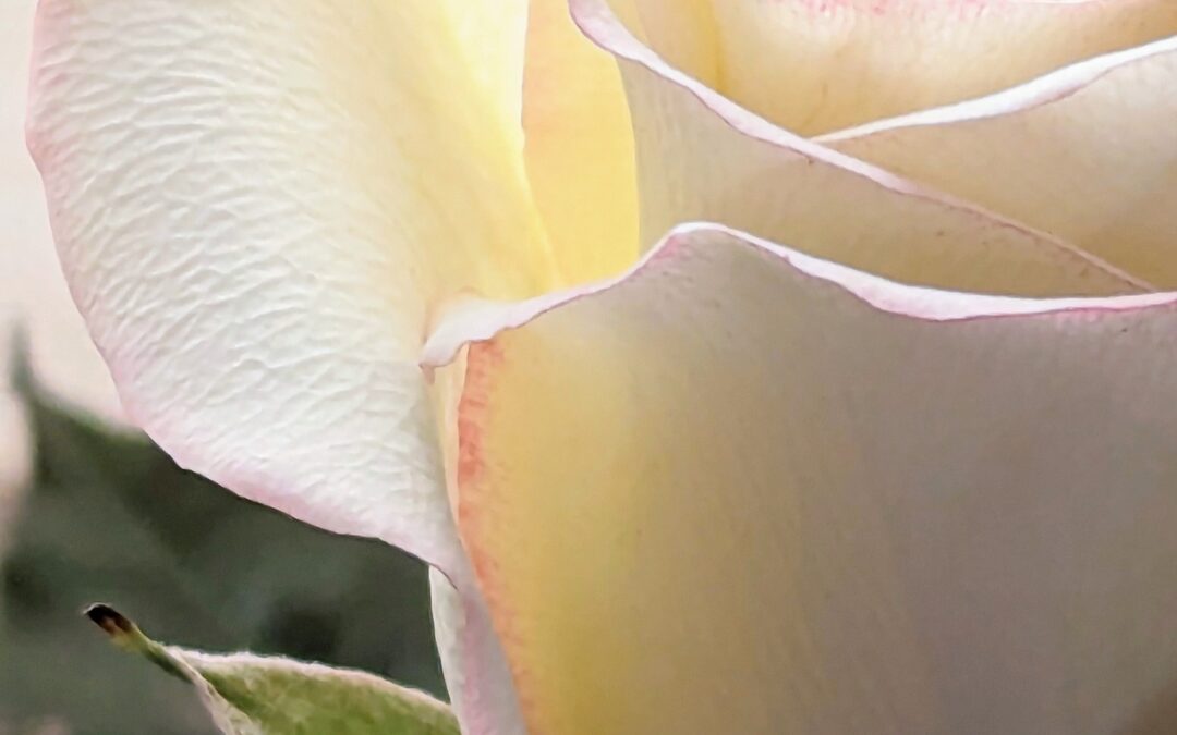 What Does It Look Like to Love God?